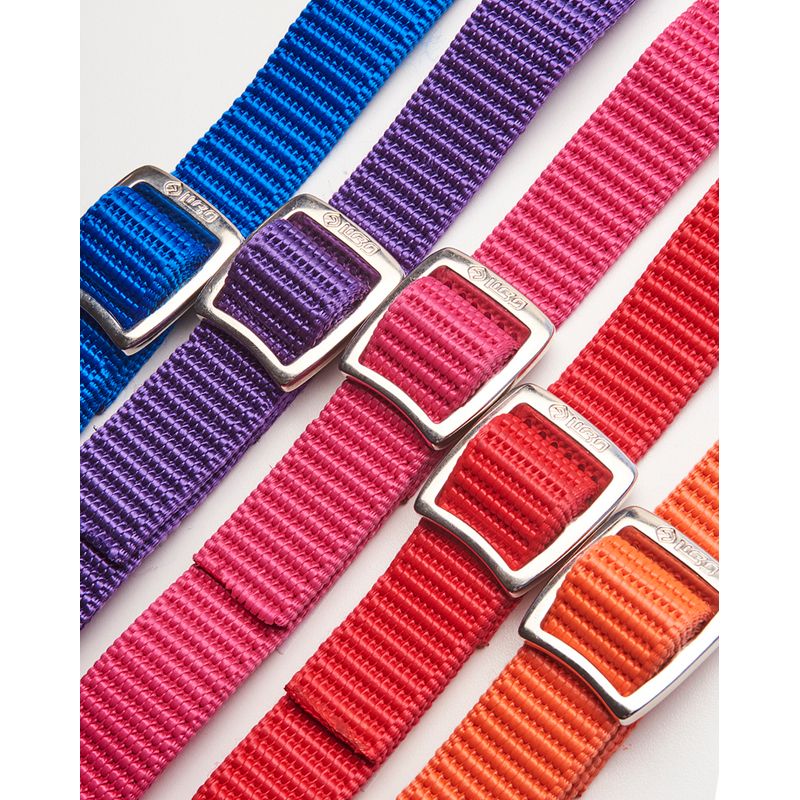 Micro-nato-colores1