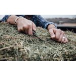 rebar_lifestyle_2