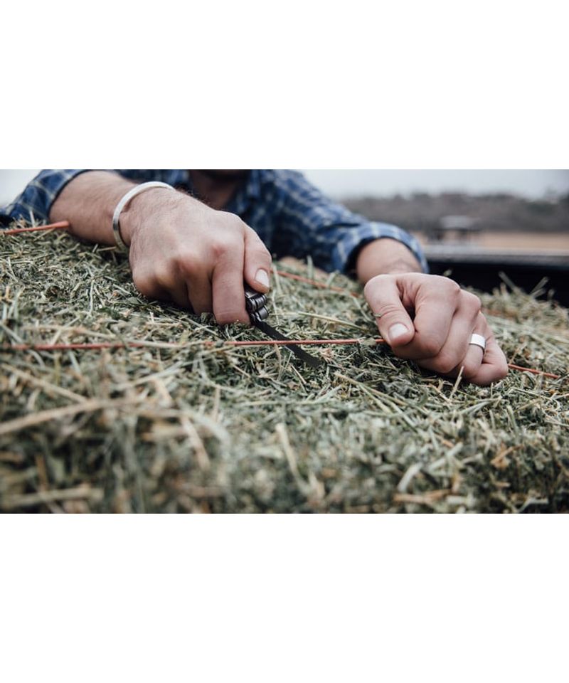 rebar_lifestyle_2