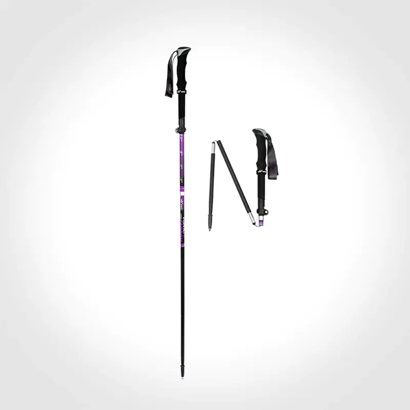 02-bastones-z-compact-se-composite-x2-carbon-6ffa7d7207913e38ea17431907743131-1024-1024.webp