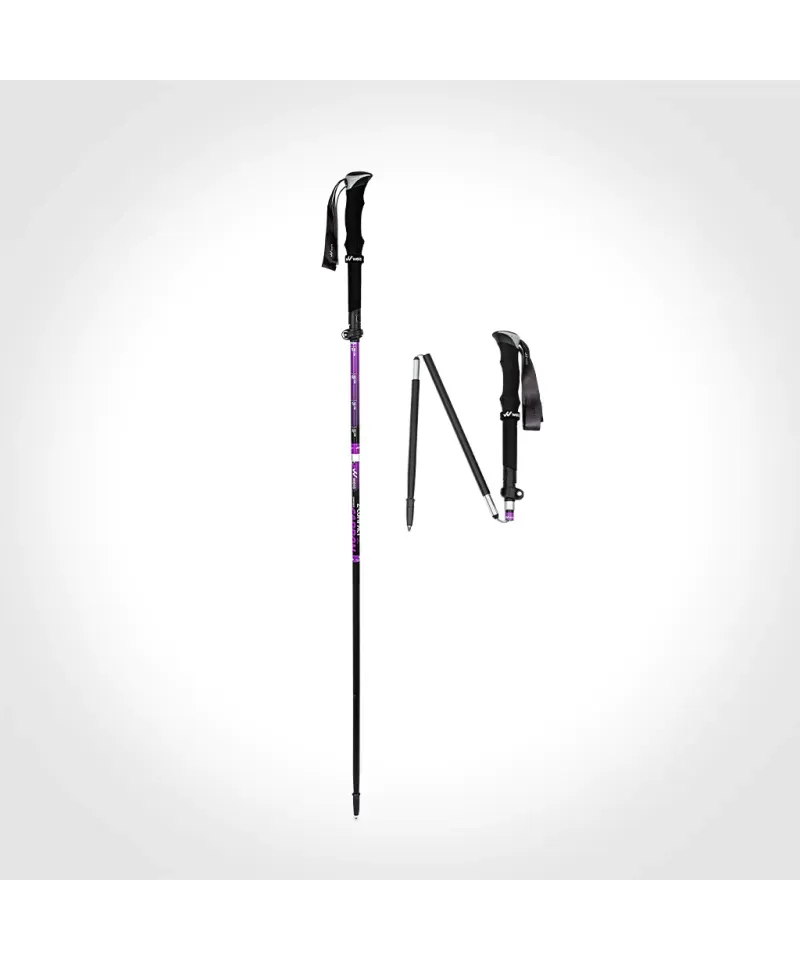 02-bastones-z-compact-se-composite-x2-carbon-6ffa7d7207913e38ea17431907743131-1024-1024.webp