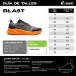 BLAST